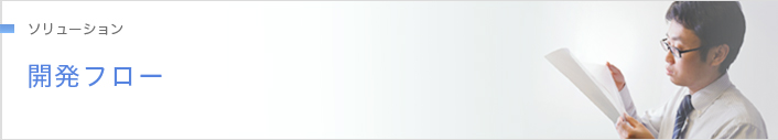 ソリューション 開発フロー